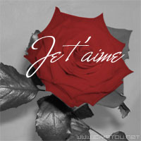 la rose rouge