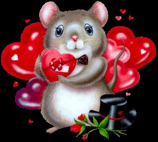 souris