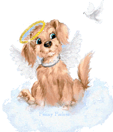 chien ange